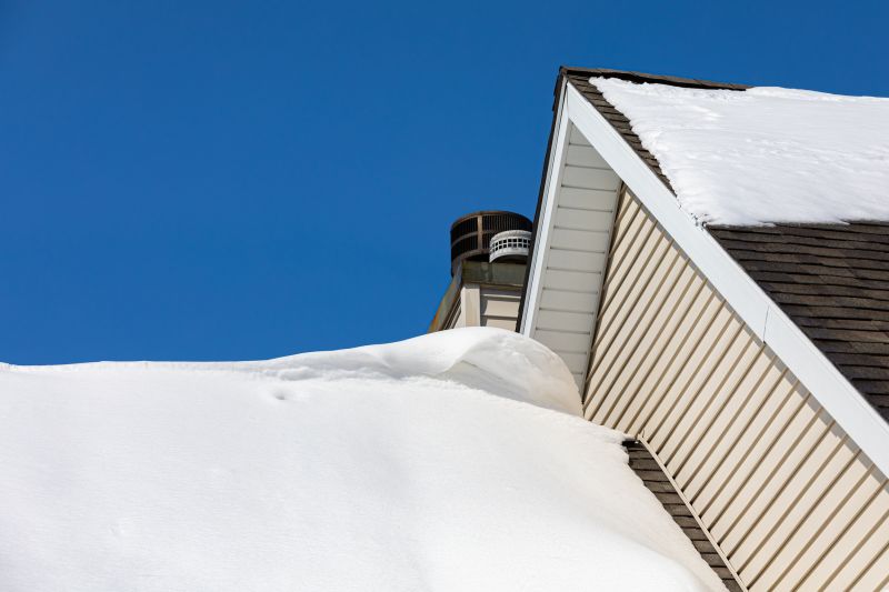 Roofing Service in Winter